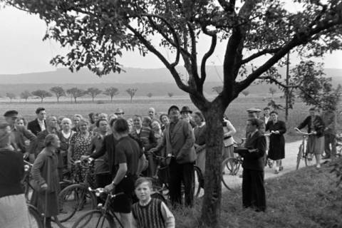 ARH NL Dierssen 1073/0010, Versteigerung der städtischen Apfelbäume, Springe, 1950