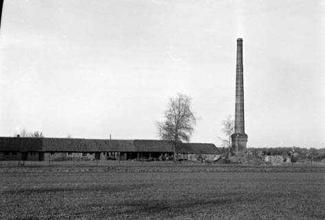 ARH NL Dierssen 1095/0004, Ziegelei, Grasdorf, 1950