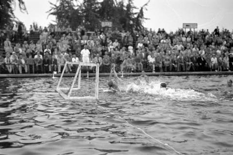 ARH NL Dierssen 1156/0017, Deutsche Wasserballmeisterschaft, Hannover, 1951