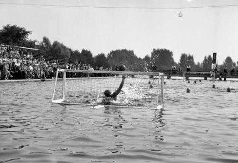ARH NL Dierssen 1157/0001, Deutsche Wasserballmeisterschaft, Hannover, 1951