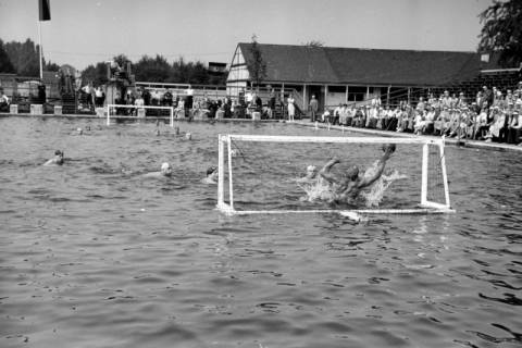 ARH NL Dierssen 1157/0003, Deutsche Wasserballmeisterschaft, Hannover, 1951