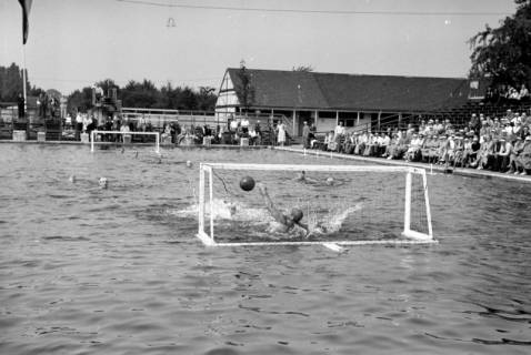 ARH NL Dierssen 1157/0004, Deutsche Wasserballmeisterschaft, Hannover, 1951
