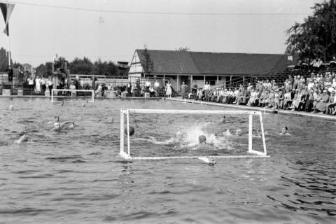 ARH NL Dierssen 1157/0005, Deutsche Wasserballmeisterschaft, Hannover, 1951
