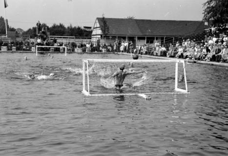 ARH NL Dierssen 1157/0007, Deutsche Wasserballmeisterschaft, Hannover, 1951