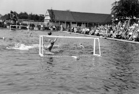 ARH NL Dierssen 1157/0008, Deutsche Wasserballmeisterschaft, Hannover, 1951