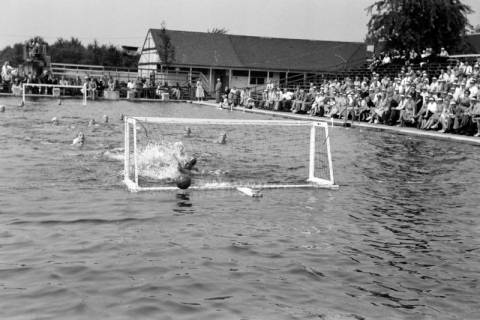 ARH NL Dierssen 1157/0009, Deutsche Wasserballmeisterschaft, Hannover, 1951
