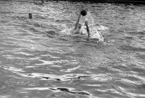 ARH NL Dierssen 1189/0009, Wasserball Deutschland gegen Schweden, Hannover, 1952
