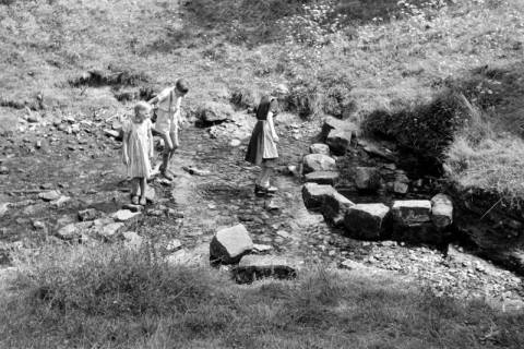ARH NL Dierssen 1206/0008, Kinder an der Quelle der Hamel, Hamelspringe, 1952