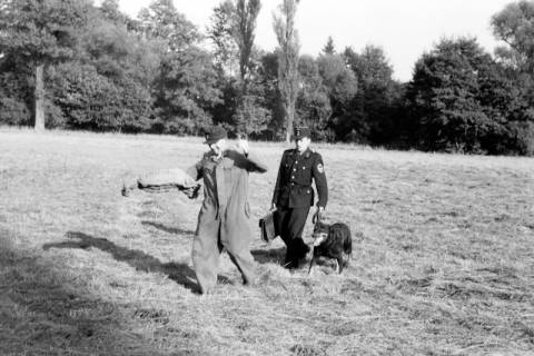 ARH NL Dierssen 1209/0024, Brauchbarkeitsprüfung für Hunde-Wettkämpfe, Hasperde, 1952