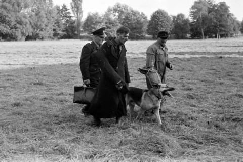 ARH NL Dierssen 1209/0026, Brauchbarkeitsprüfung für Hunde-Wettkämpfe, Hasperde, 1952