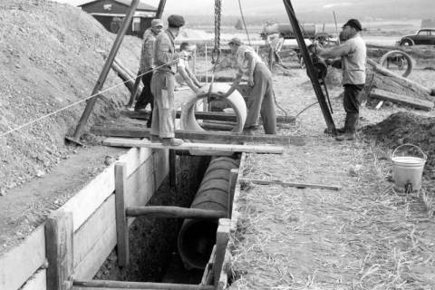 ARH NL Dierssen 1213/0022, Bau der Kanalisation in der Seebohmstraße, Springe, 1952