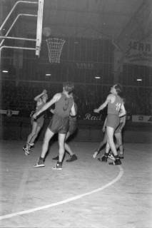 ARH NL Dierssen 1225/0028, "Fest der Sportpresse": Basketball, Hannover, 1953