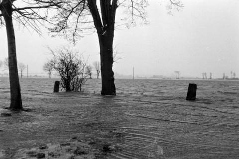 ARH NL Dierssen 1227/0005, Vom Hochwasser überschwemmte Straße, Nordstemmen, 1953