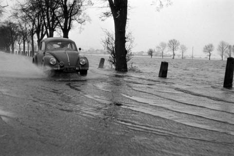 ARH NL Dierssen 1227/0006, Vom Hochwasser überschwemmte Straße, Nordstemmen, 1953