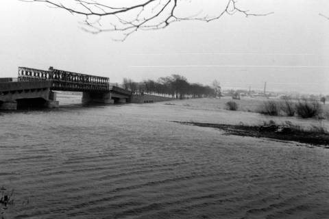 ARH NL Dierssen 1227/0008, Vom Hochwasser überschwemmte Straße, Nordstemmen, 1953
