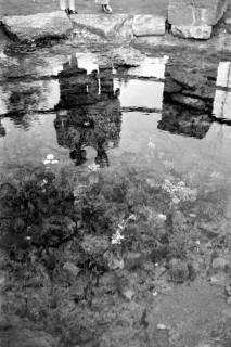 ARH NL Dierssen 1235/0013, An der Kraterquelle, Bad Nenndorf, 1953