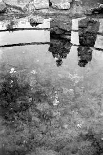 ARH NL Dierssen 1235/0014, An der Kraterquelle, Bad Nenndorf, 1953