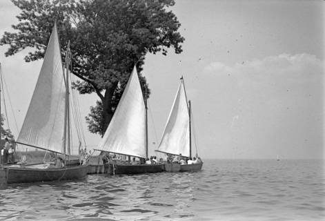 ARH NL Dierssen 1245/0027, Segelboote auf dem Steinhuder Meer am Steg liegend, Steinhude, 1953