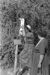 ARH NL Dierssen 1246/0011, Zwei Frauen an einem stationären Fernglas, Steinhude, 1953