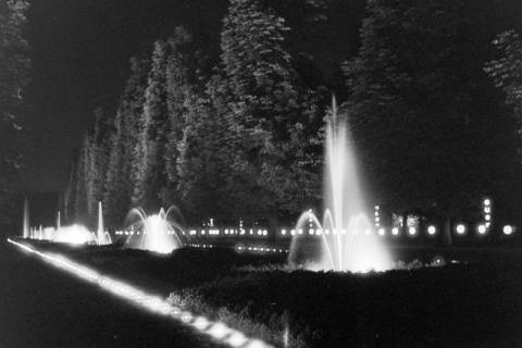 ARH NL Dierssen 1254/0003, Illumination "Goldener Sonntag" im Kurpark: Springbrunnenallee, Bad Pyrmont, 1953