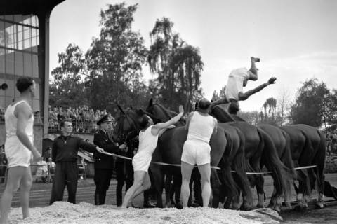 ARH NL Dierssen 1258/0013, Königssprung beim Polizei-Sportfest, Hannover, 1953