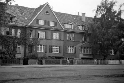 ARH NL Dierssen 1262/0025, Haus Bischofsholer Damm 44, Hannover, 1953