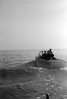 ARH NL Dierssen 1263/0001, Suche auf Steinhuder Meer nach abgestürztem "Düsenjäger", Steinhude, 1953