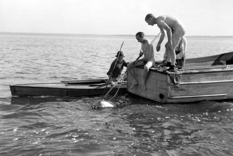 ARH NL Dierssen 1263/0015, Suche auf Steinhuder Meer nach abgestürztem "Düsenjäger", Steinhude, 1953