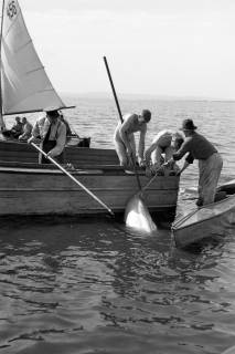 ARH NL Dierssen 1263/0016, Suche auf Steinhuder Meer nach abgestürztem "Düsenjäger", Steinhude, 1953