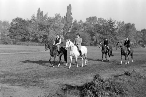 ARH NL Dierssen 1267/0006, Reiter auf der Rennbahn, Hannover, 1953