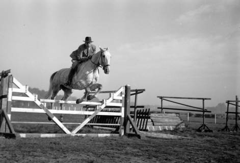 ARH NL Dierssen 1267/0010, Reiter auf der Rennbahn, Hannover, 1953