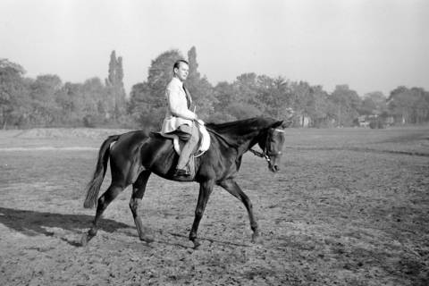 ARH NL Dierssen 1267/0018, Reiter auf der Rennbahn, Hannover, 1953