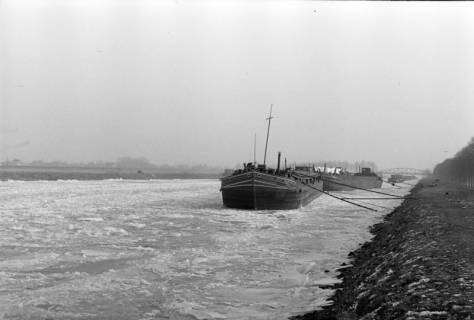 ARH NL Dierssen 1272/0019, Eingefrorene Schiffe im Kanal, Wunstorf, 1954