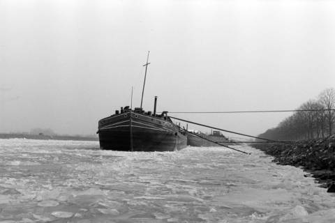 ARH NL Dierssen 1272/0020, Eingefrorene Schiffe im Kanal, Wunstorf, 1954