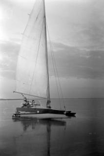 ARH NL Dierssen 1277/0006, Segelregatta auf dem Steinhuder Meer, Steinhude, 1954