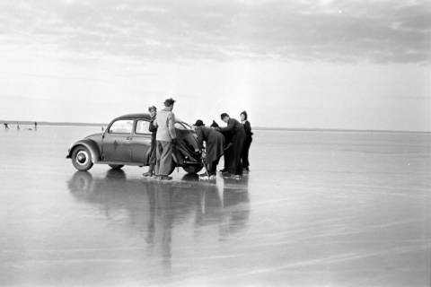 ARH NL Dierssen 1276/0010, VW-Käfer auf dem zugefrorenen Steinhuder Meer, Steinhude, 1954