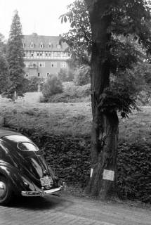 ARH NL Dierssen 1281/0025, Schloss Arensburg, Steinbergen, 1954