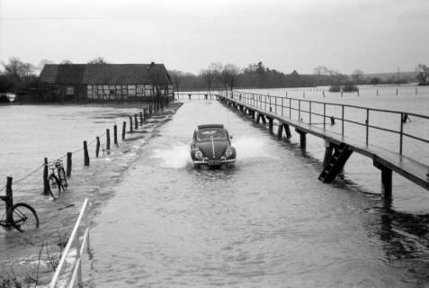 ARH NL Dierssen 1296/0001, Hochwasser, Bordenau, 1954
