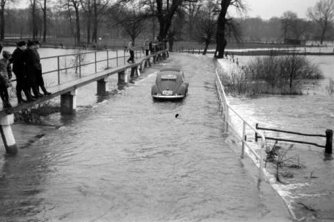 ARH NL Dierssen 1296/0003, Hochwasser, Bordenau, 1954