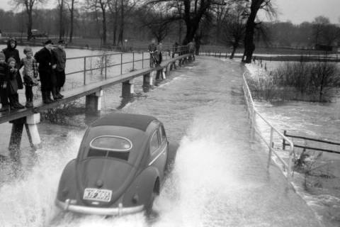ARH NL Dierssen 1296/0004, Hochwasser, Bordenau, 1954
