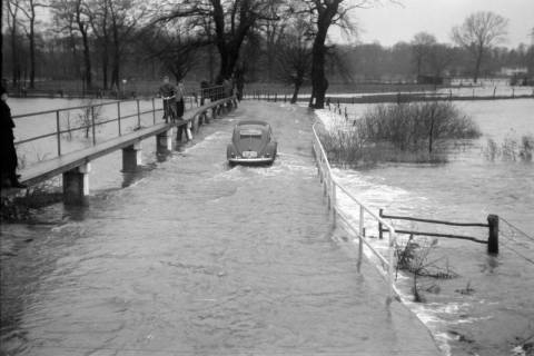 ARH NL Dierssen 1296/0005, Hochwasser, Bordenau, 1954