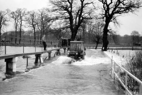 ARH NL Dierssen 1296/0007, Hochwasser, Bordenau, 1954
