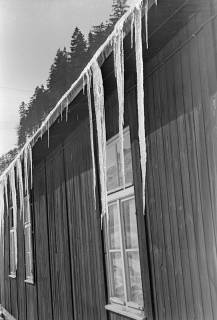 ARH NL Dierssen 1302/0023, Eiszapfen an einer Baubude, Schulenberg im Oberharz, 1955