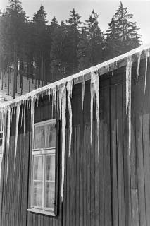 ARH NL Dierssen 1302/0024, Eiszapfen an einer Baubude, Schulenberg im Oberharz, 1955