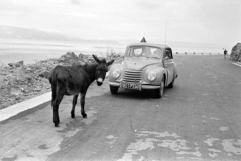 ARH NL Dierssen 1346/0018, Esel und DKW auf Küstenstraße, Rijeka, 1956