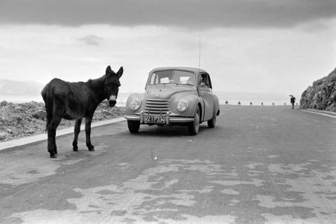 ARH NL Dierssen 1346/0019, Esel und DKW auf Küstenstraße, Rijeka, 1956