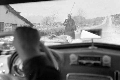 ARH NL Dierssen 1347/0014, Blick aus dem Wagen auf Schafe und Schafhüter auf der Straße, Griechenland, 1956