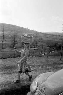ARH NL Dierssen 1353/0020, Frau trägt einen Korb auf dem Kopf, Kroatien, 1956