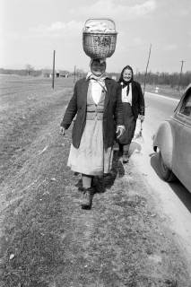 ARH NL Dierssen 1353/0023, Frau trägt einen Korb auf dem Kopf, Kroatien, 1956