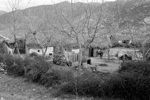 ARH NL Dierssen 1354/0004, "Fellachendorf" vor Xanthi, Griechenland, 1956